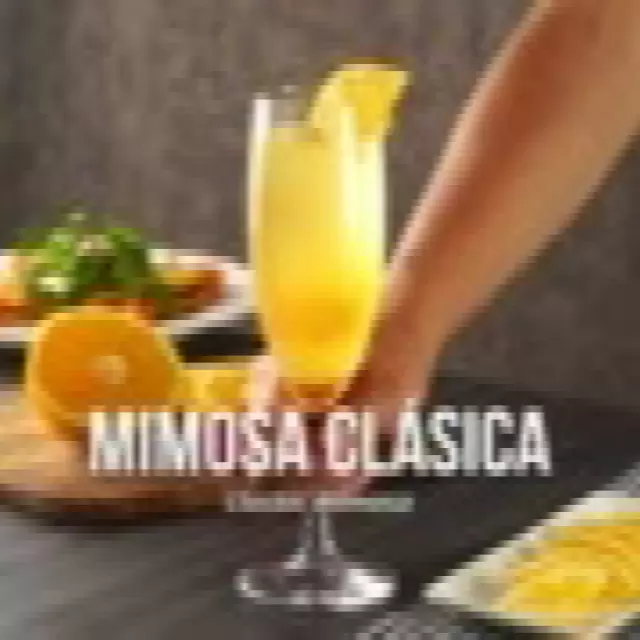 Video de Mimosa Clásica
