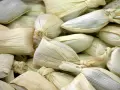 Beans and Mole Tamales 