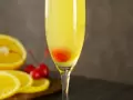 Classic Mimosa 